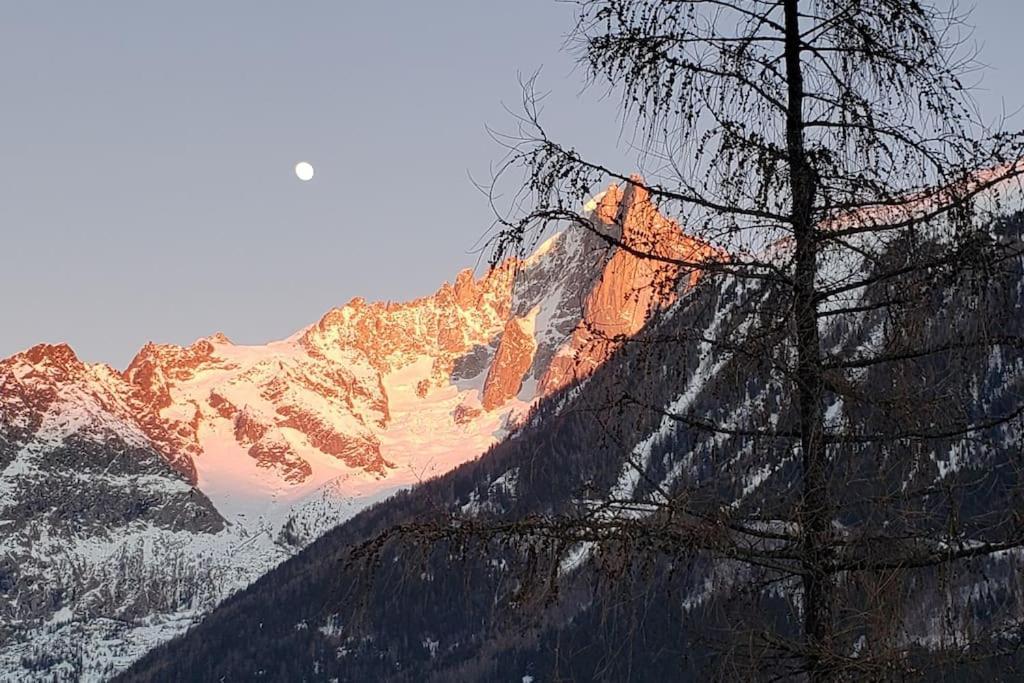 Bel Appartement Entier En Style Chalet A Chamonix Eksteriør bilde